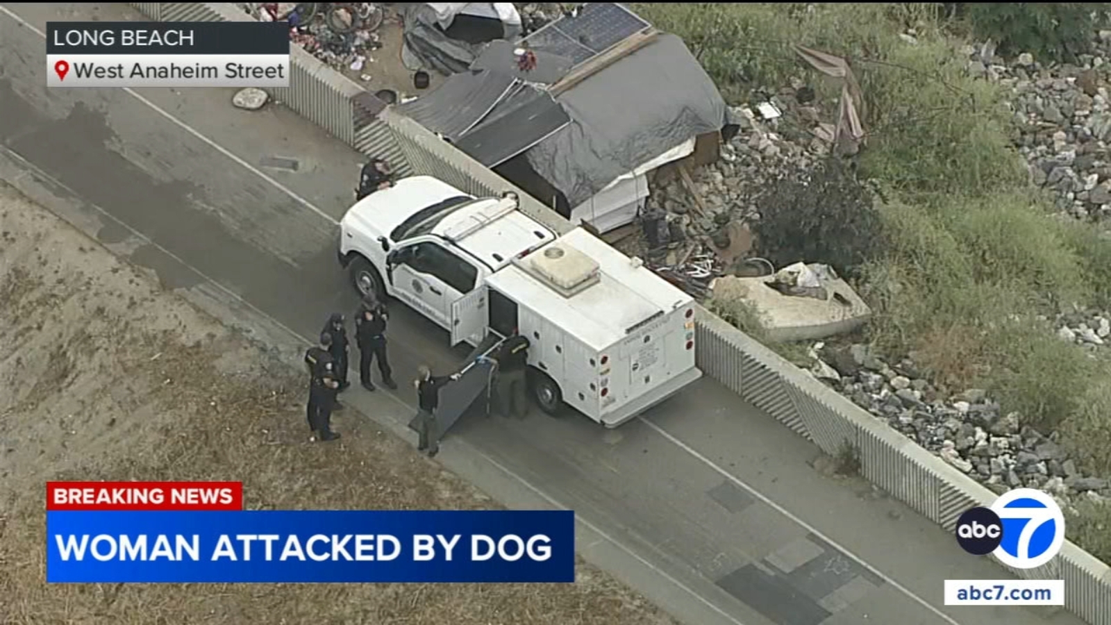 Woman attacked by dog near Los Angeles River in Long Beach - ABC7 Los ...