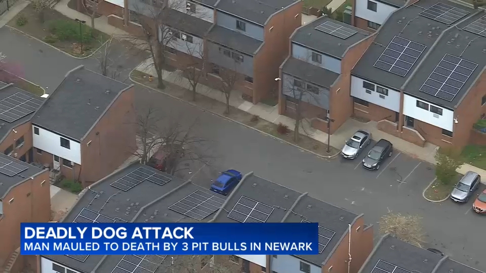 Man mauled to death by 3 pit bulls in Newark