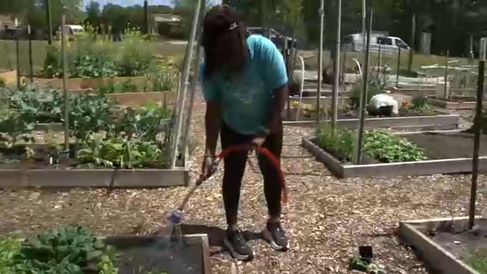 Durham residents turn to community gardening to save money as produce prices climb