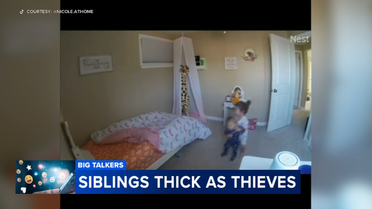 Toddler secretly carries baby sister off to keep the playtime going