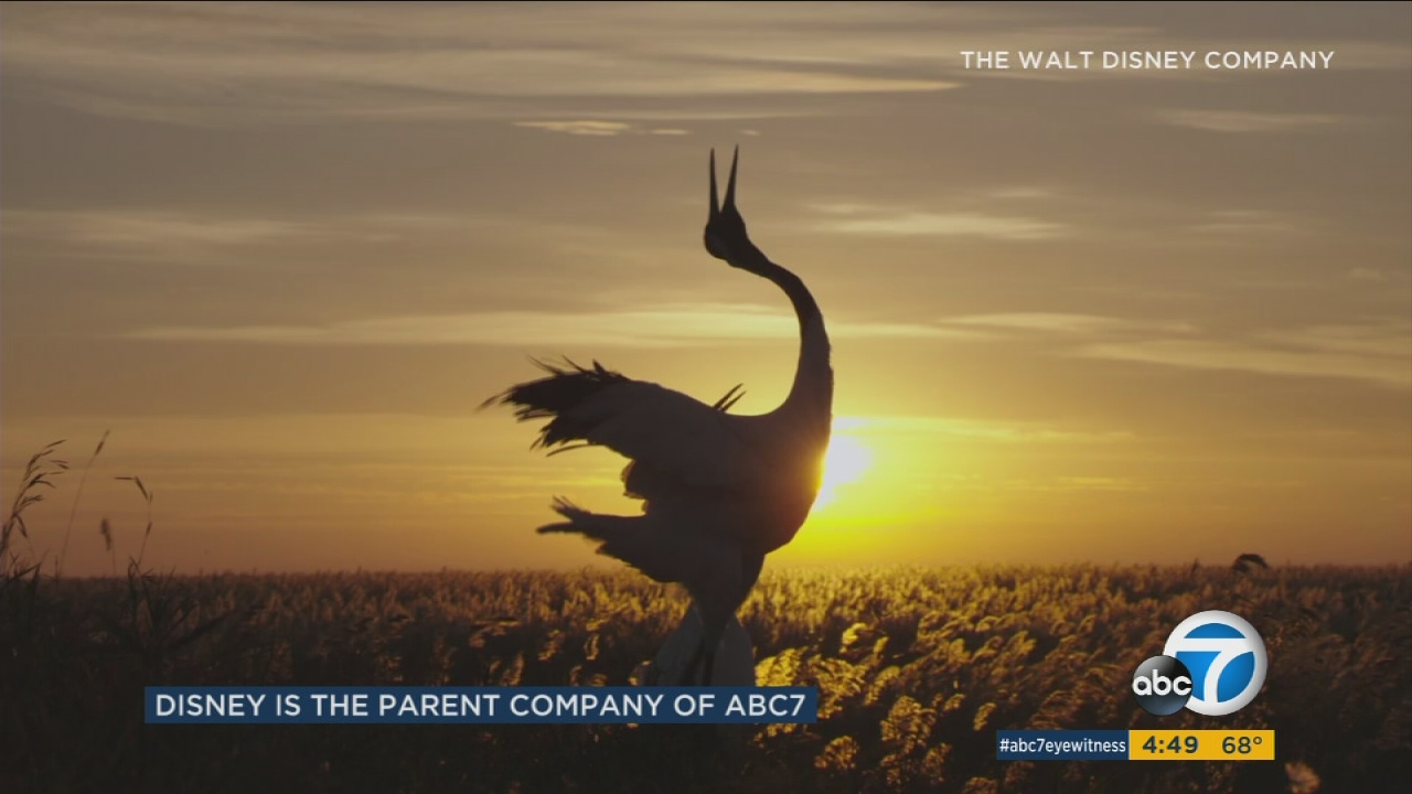 'Born in China' looks at regions, wildlife rarely seen by westerners