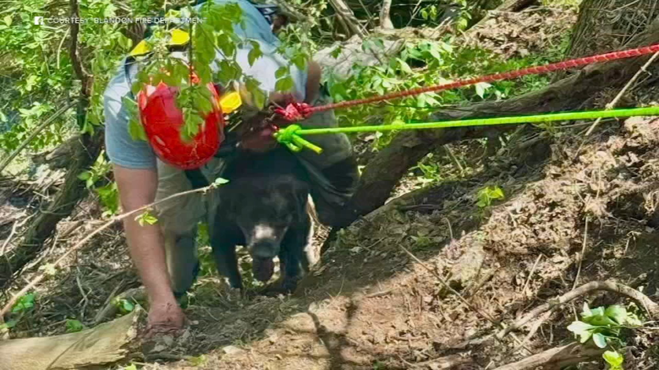 Firefighters rescue dog, owner from quarry in Berks County
