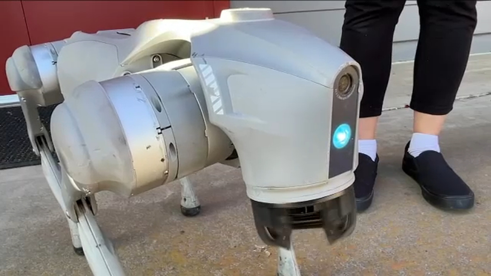 Robotic dog helping people build connections across Central California