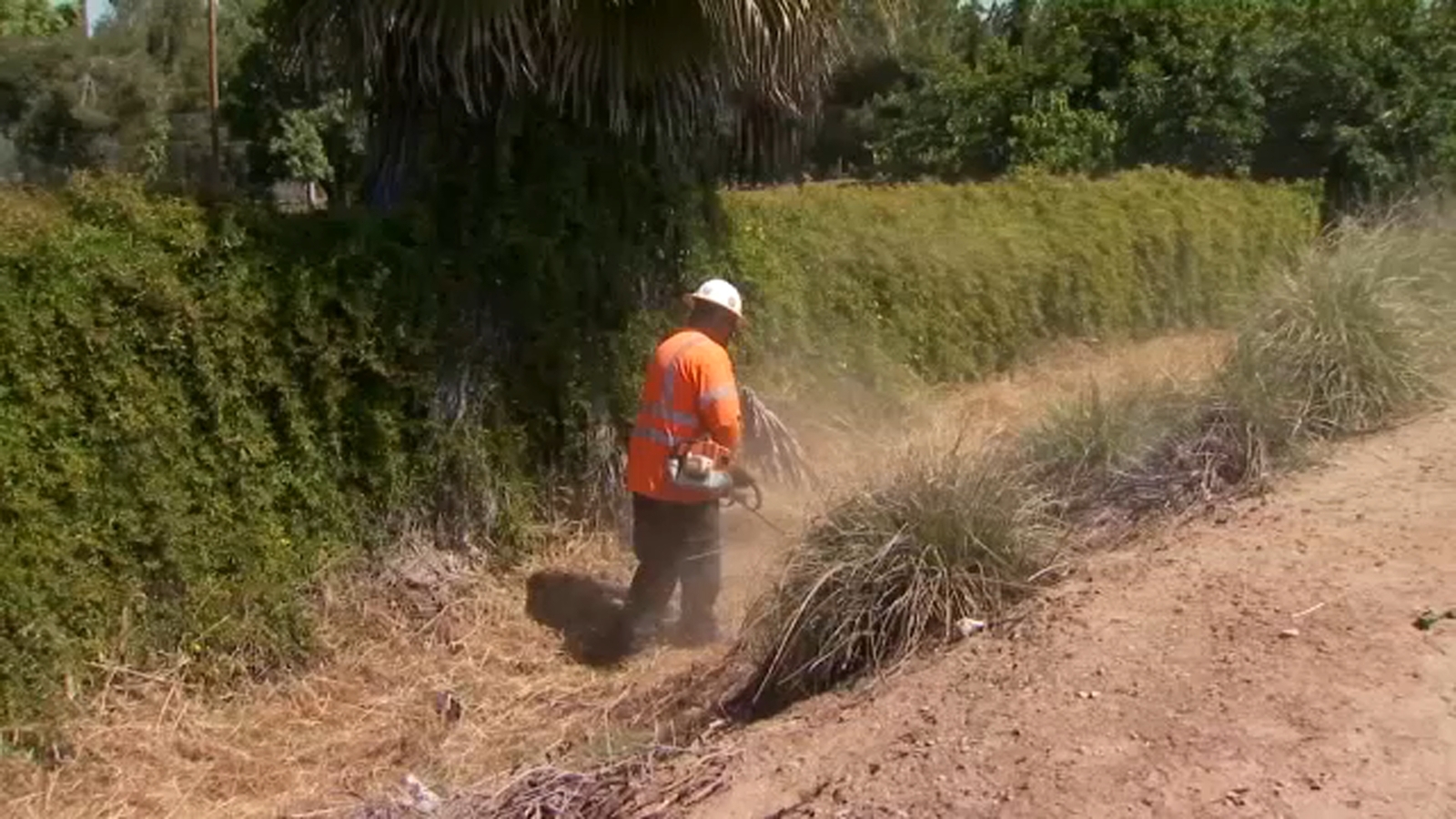 Crews clear dry brush along Highway 180 as early fire season raises concerns