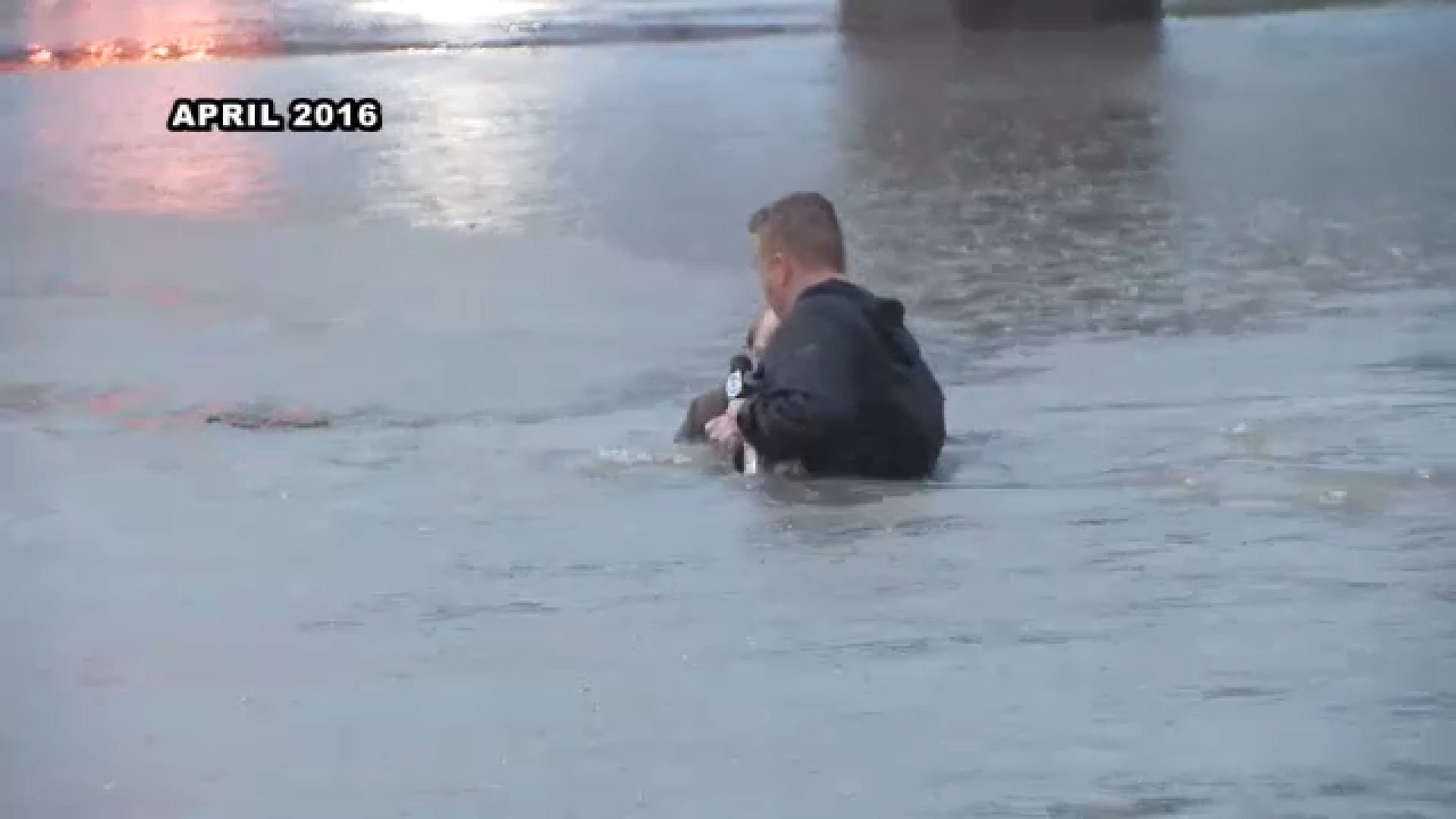 Steve Campion rescues driver