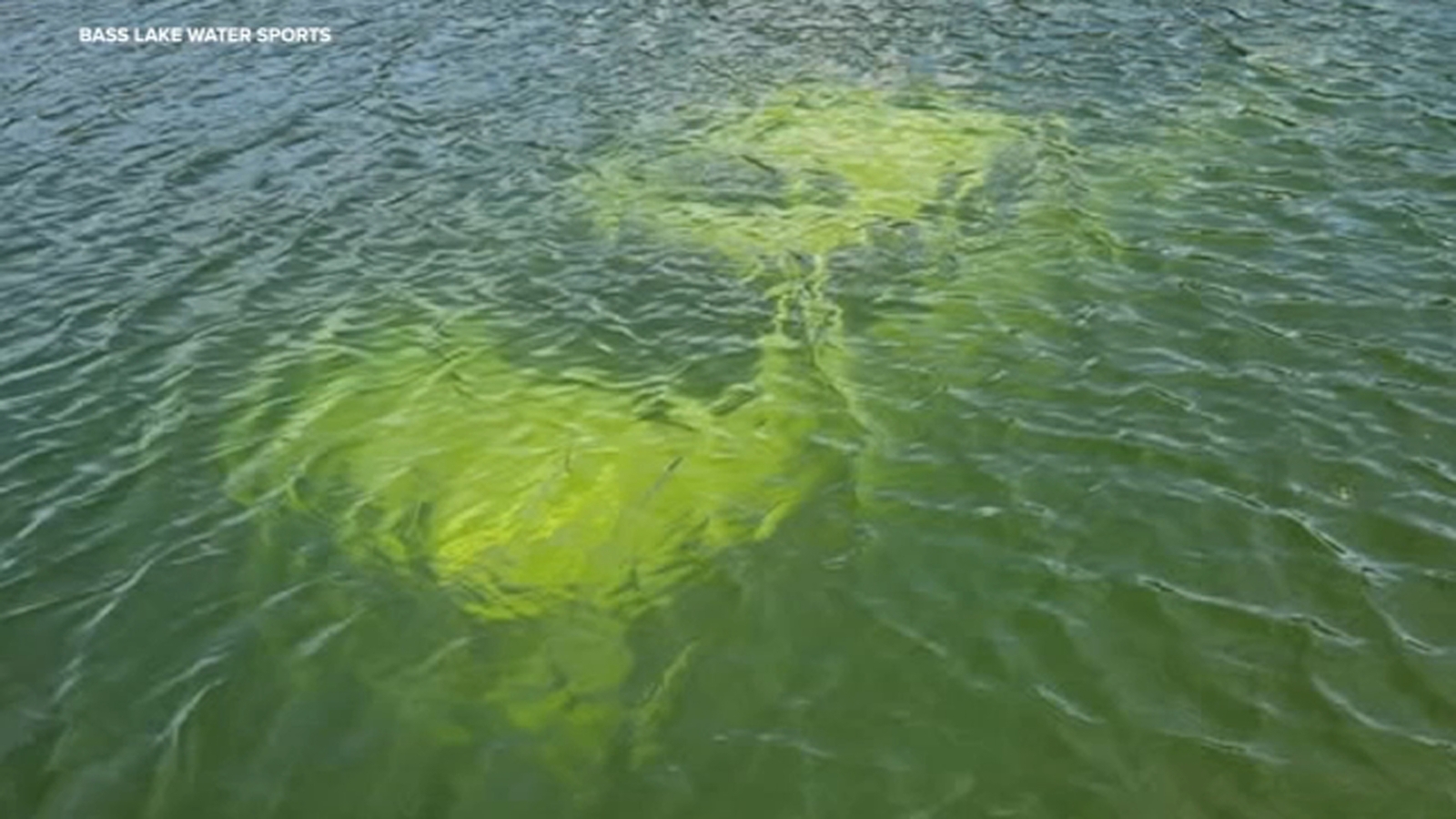 Truck rolls off boat launch ramp into Bass Lake