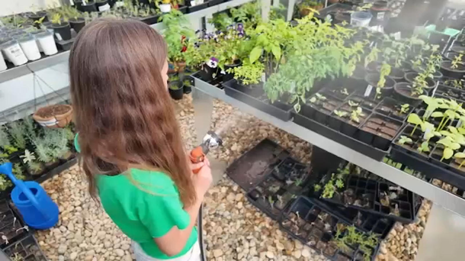 Dunlap students learn agriculture and business skills on school farm