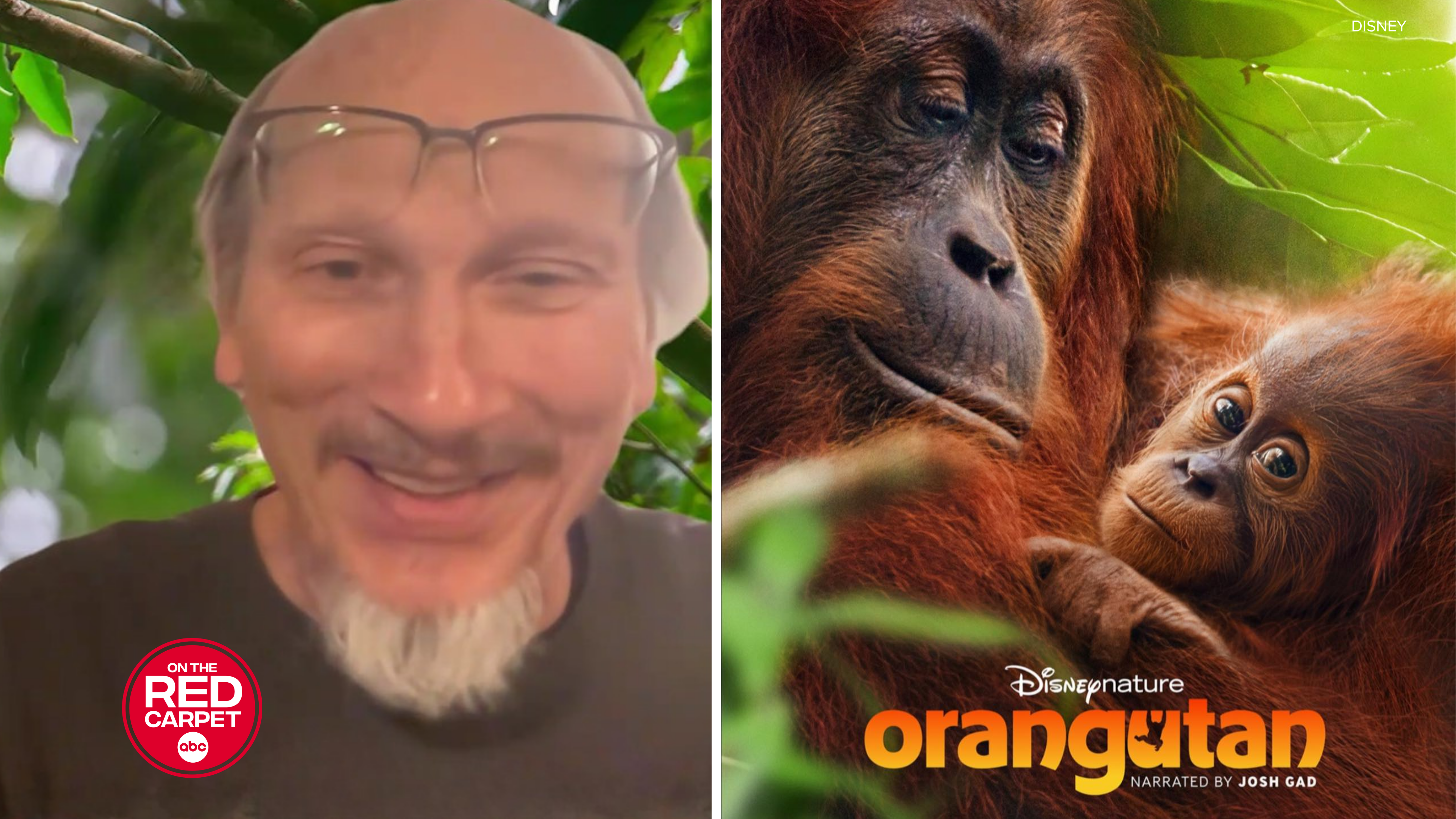 How Disneynature filmmakers found the story of ‘Orangutan’ and teamed up with Josh Gad