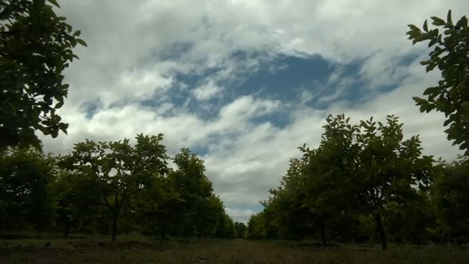 Valley crops and farmers feeling the impacts of the latest wet weather