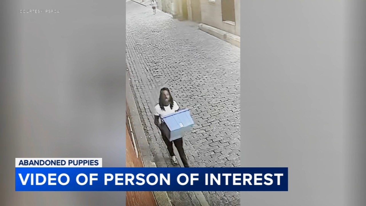 PSPCA releases video of person of interest after puppies dumped in Philadelphia’s Old City