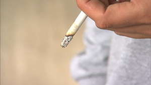 cigarette limit europe to uk Duty-Free Allowances 2025: Alcohol & Cigarette Guide for UK Travellers
