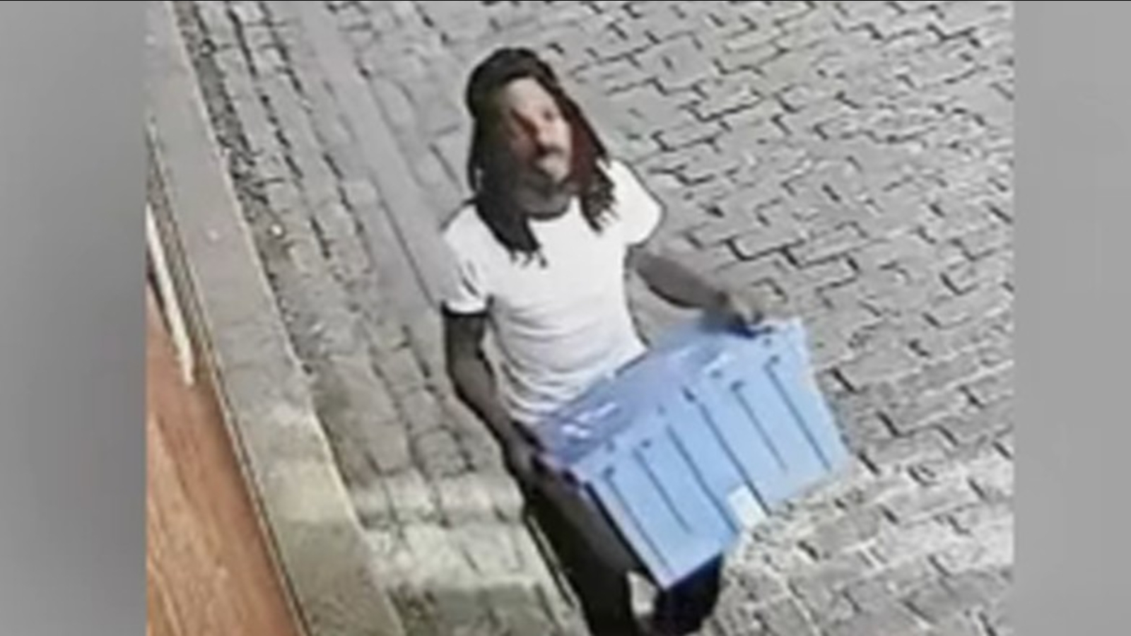 Pennsylvania SPCA releases video of person in abandoned puppies cases ...