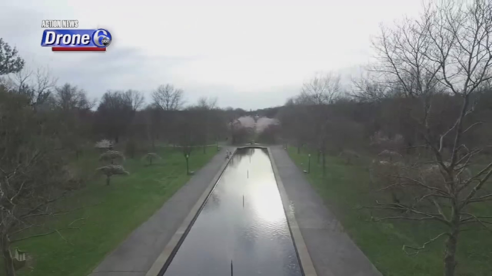 VIDEO: Drone 6 over cherry blossoms in Fairmount Park - 6abc Philadelphia