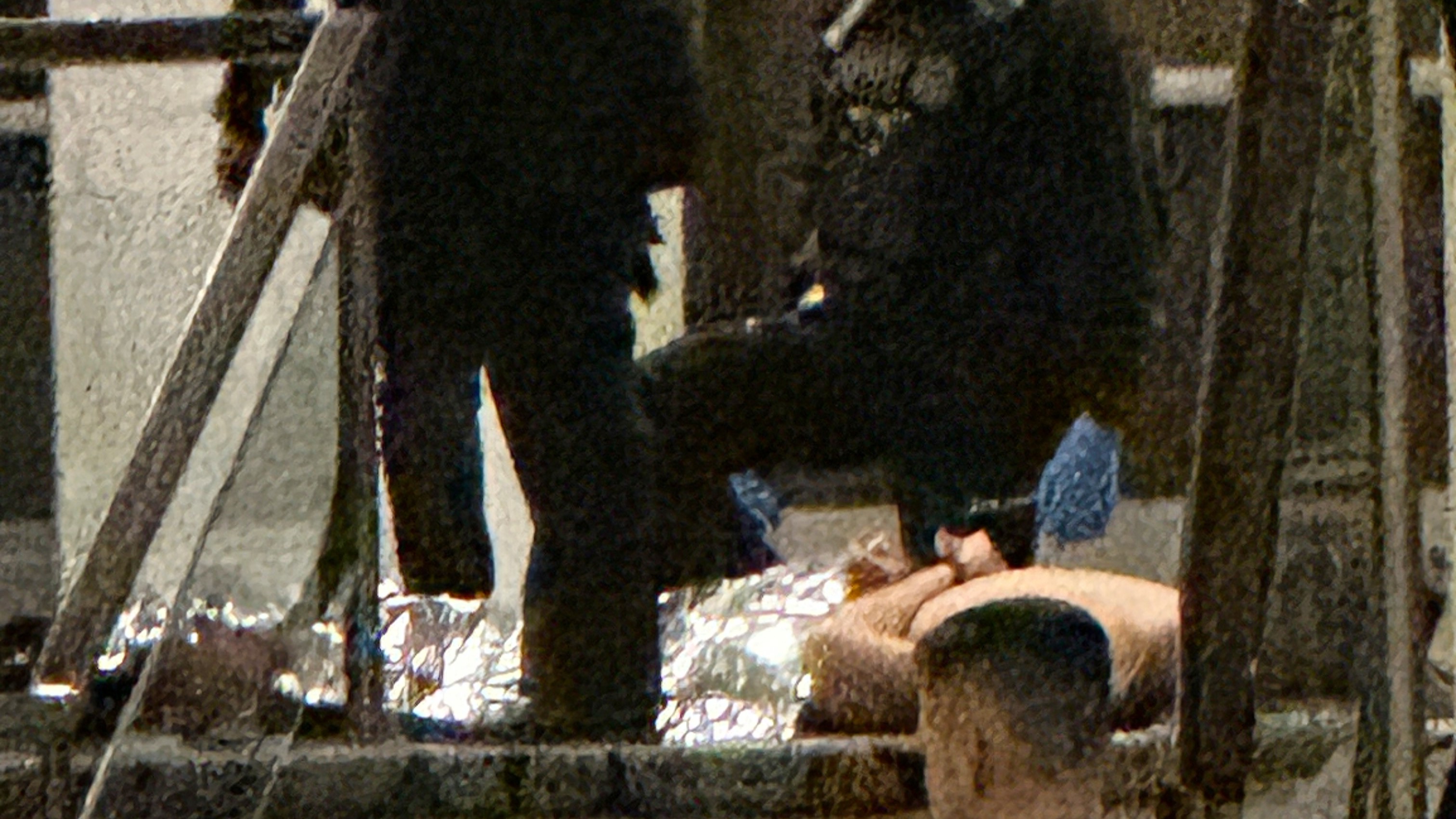 Members of law enforcement control shooting suspect Cole Tomas Allen during the White House Correspondents Dinner, Saturday, April 25, 2026, in Washington.