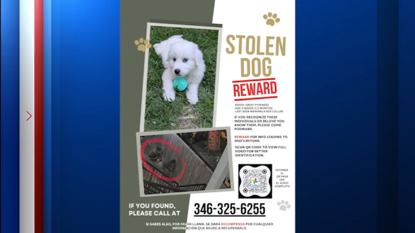 2 women accused of digging under fence to steal puppy, HCSO says