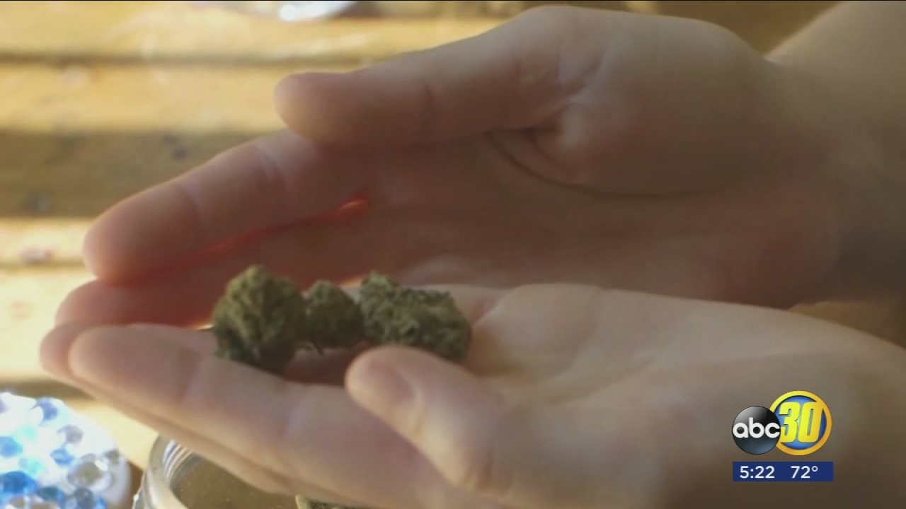 Pot and pregnancy: Mom's Choice or Child Safety?