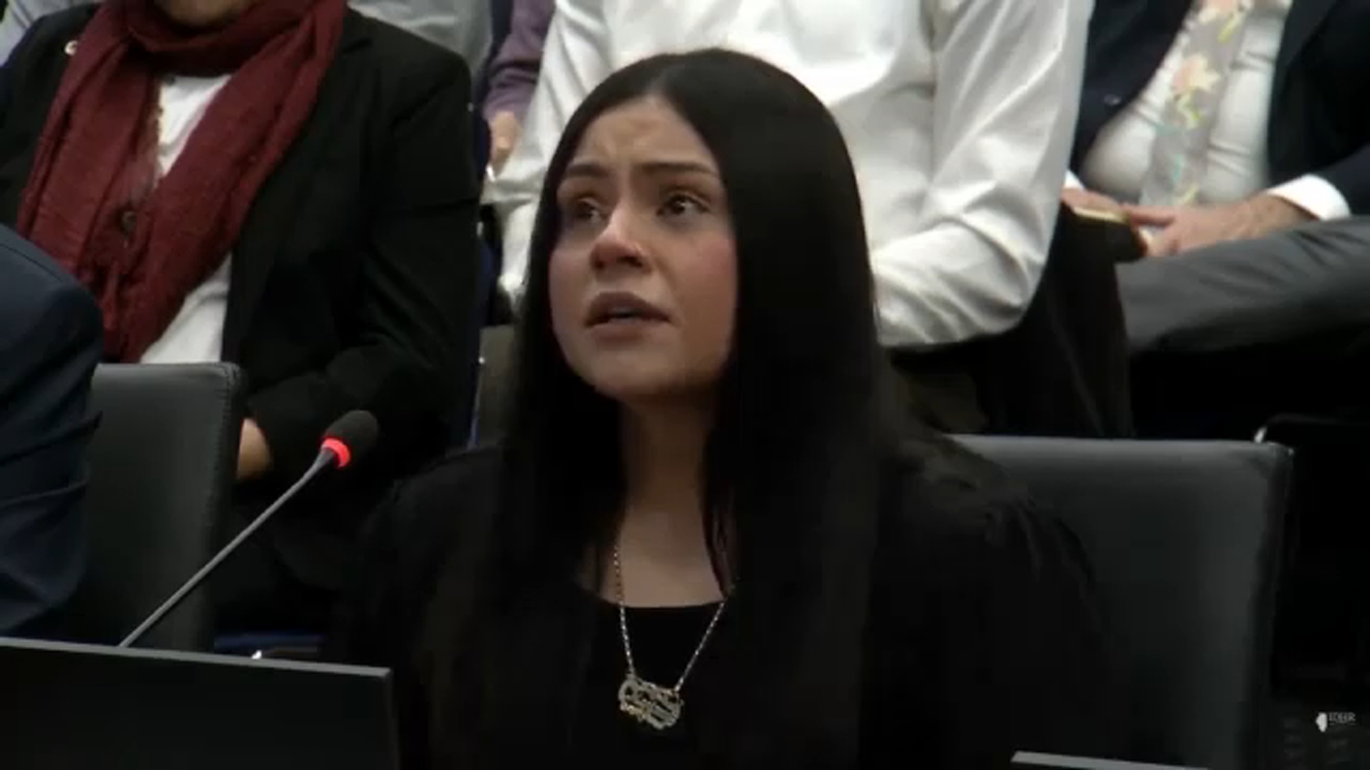 Marimar Martinez testifies for IL Accountability Commission