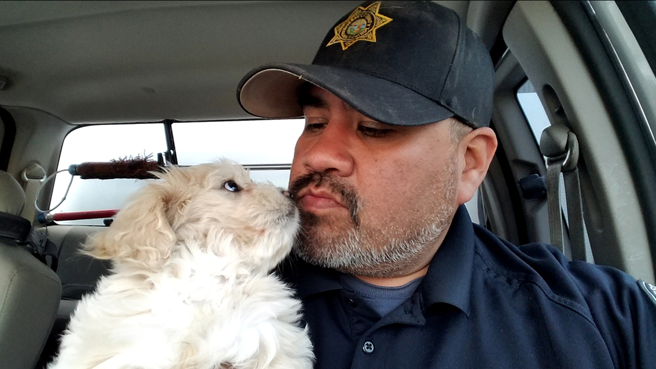 Riverside County Animal Services Officer Marcel Martinez fostered 8-week-old Blanca after her owner was injured in a car crash in Cabazon on April 4, 2017.