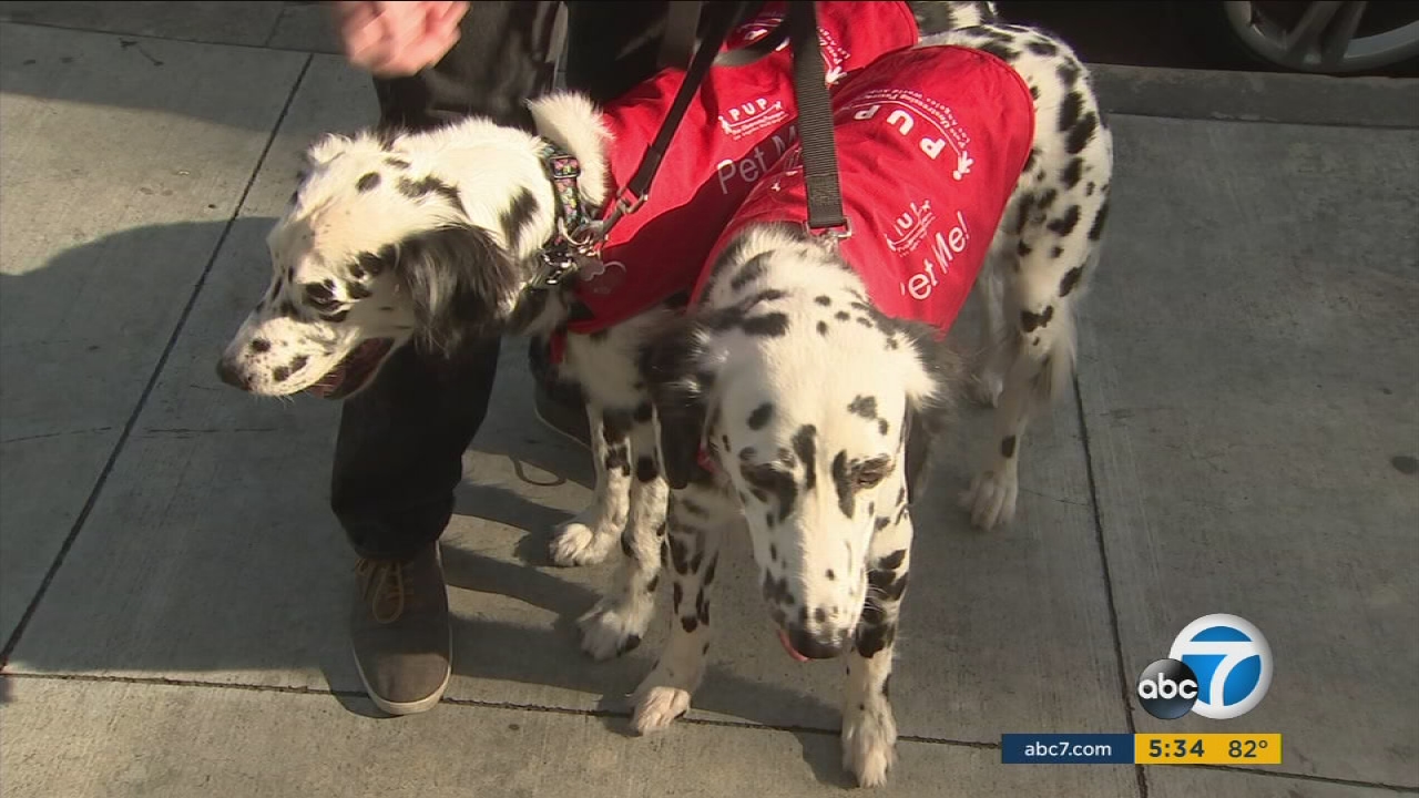 CA bill would protect dogs confronted by police