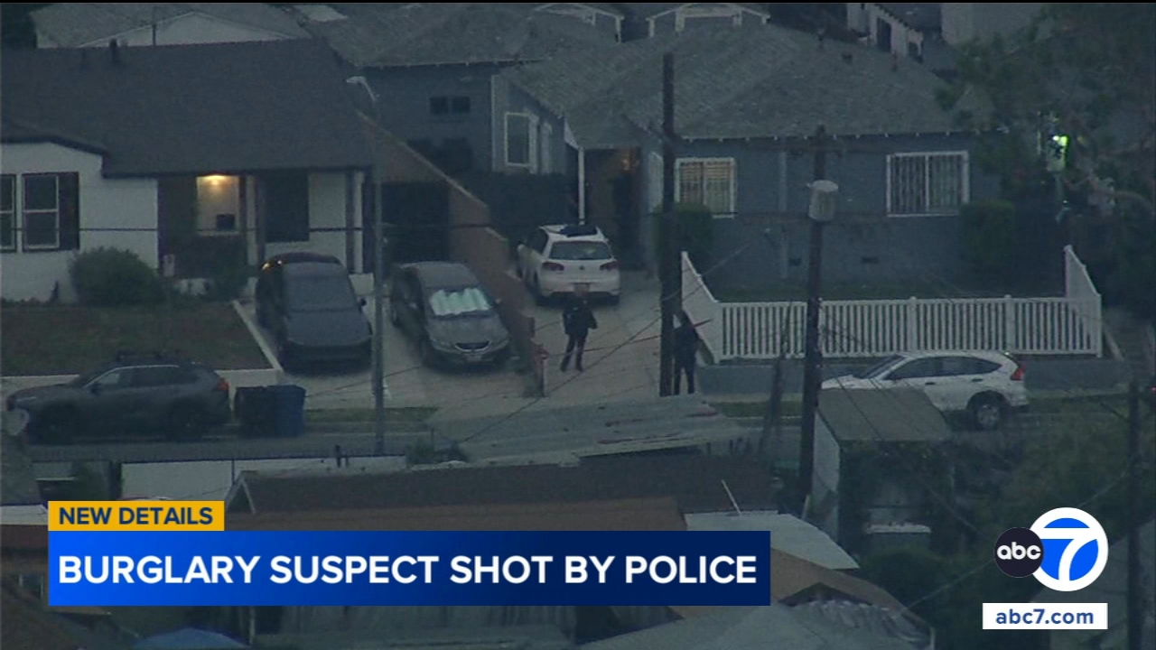 Police shoot, injure burglary suspect in South LA