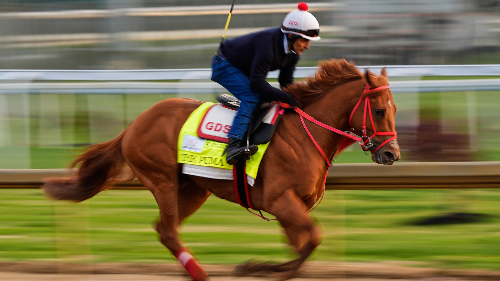Kentucky Derby is down to 19 horses after The Puma gets scratched