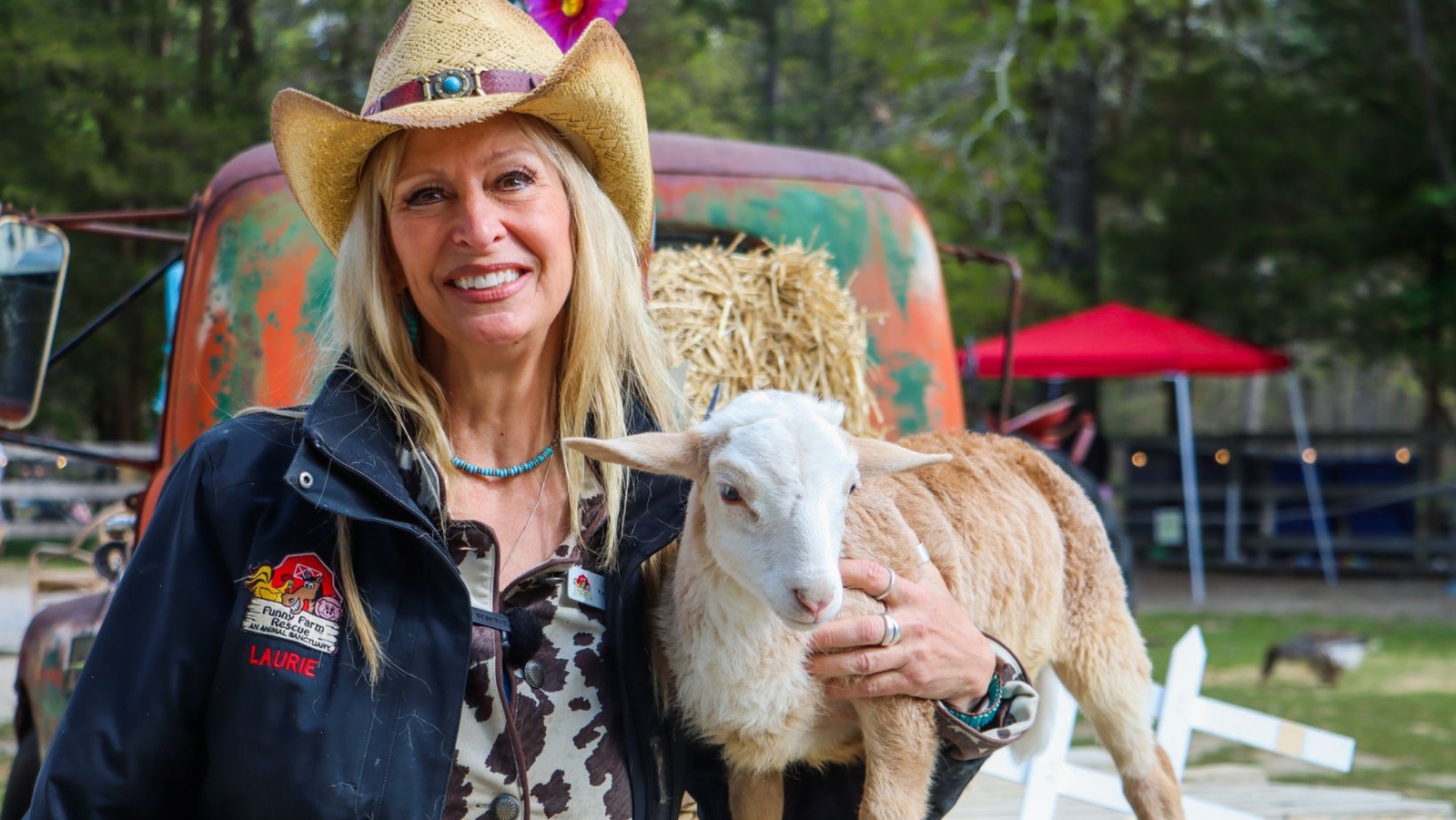 Over 700 animals call 'Funny Farm Rescue' their home
