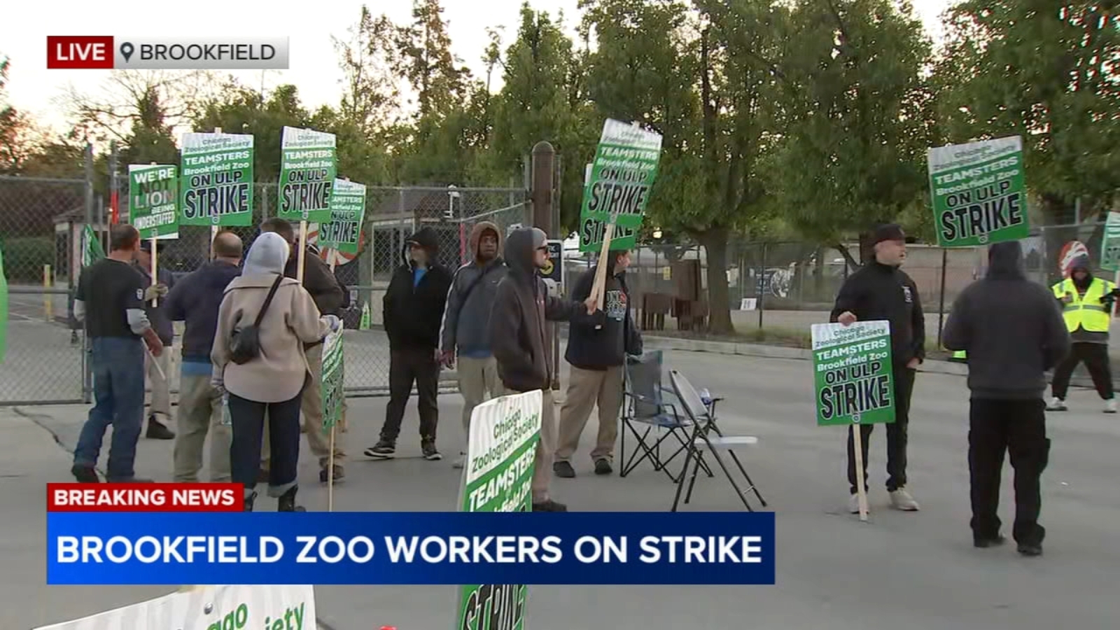 More than 100 Brookfield Zoo Chicago workers go on strike