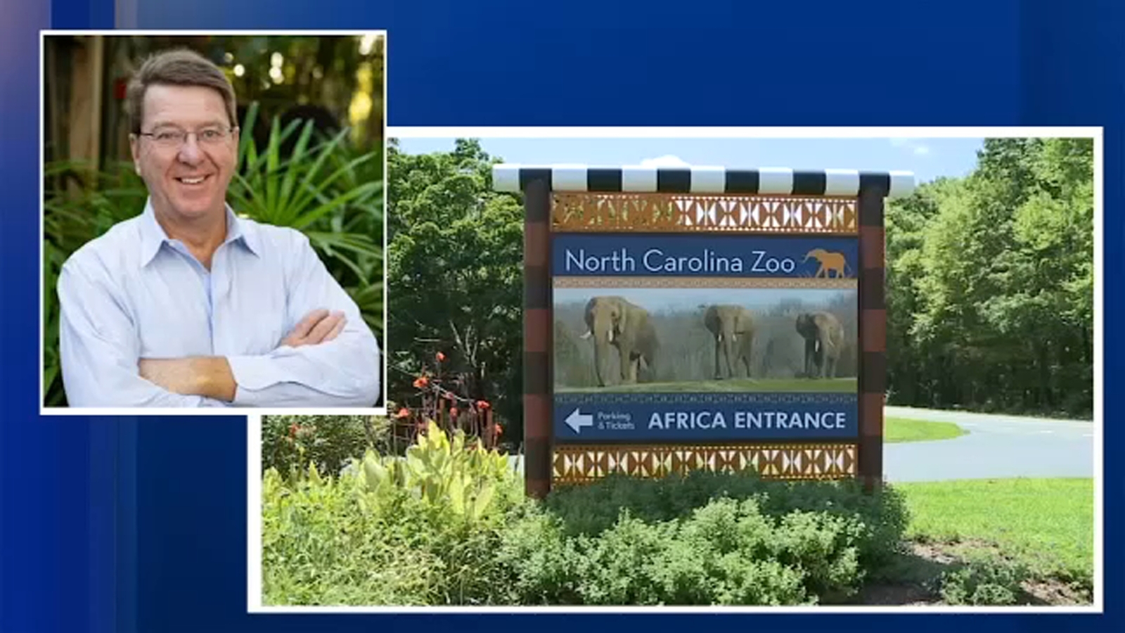 NC Zoo names former Disney VP as new director