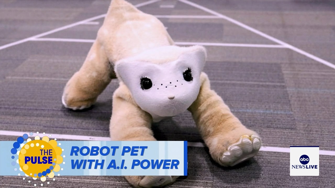 Roomba pioneer aims to crack the household market again with an AI-powered pet robot