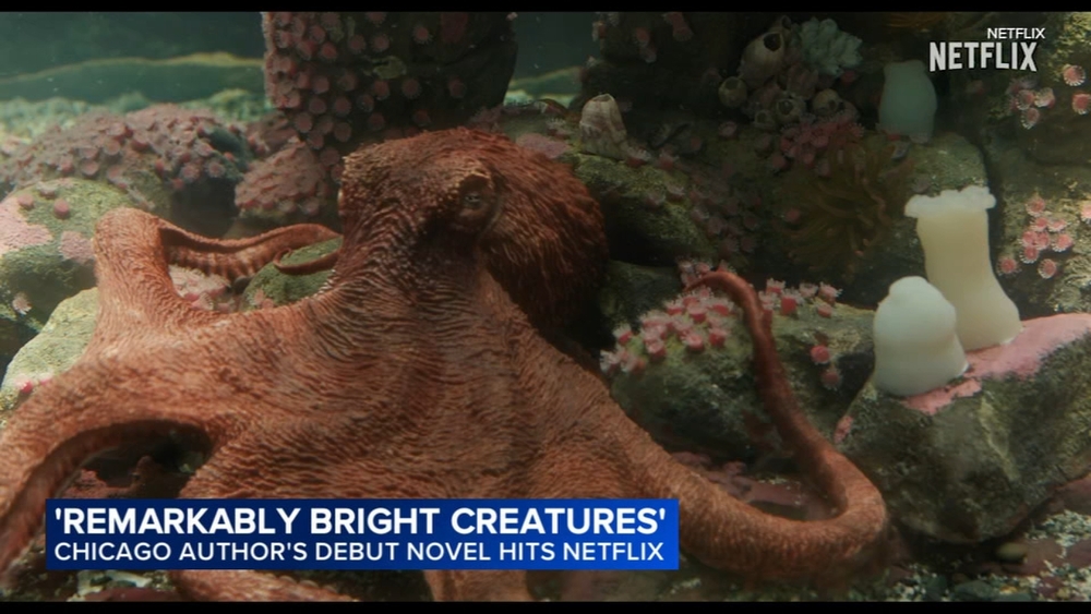 Chicago author's novel 'Remarkably Bright Creatures' to hit Netflix