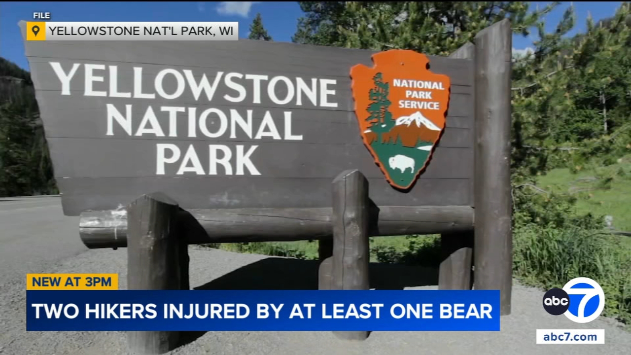 Bear attack injures two hikers in Yellowstone National Park