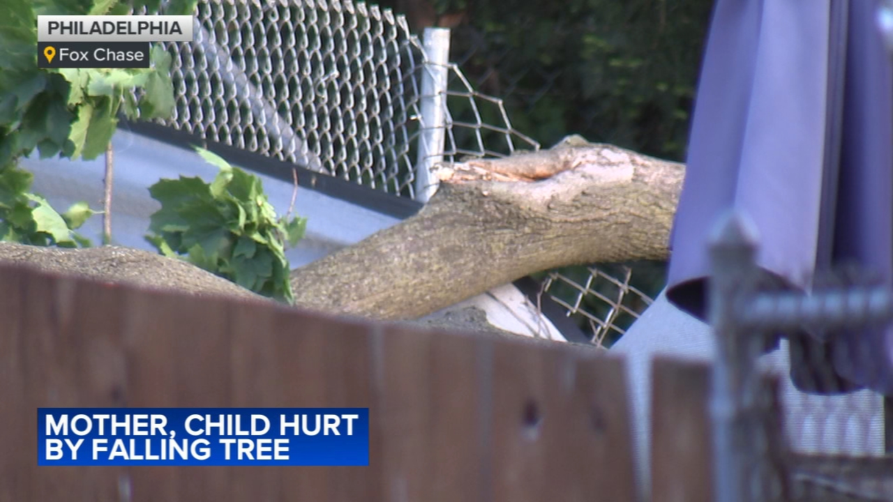 Child, woman hurt when tree falls in Philadelphia
