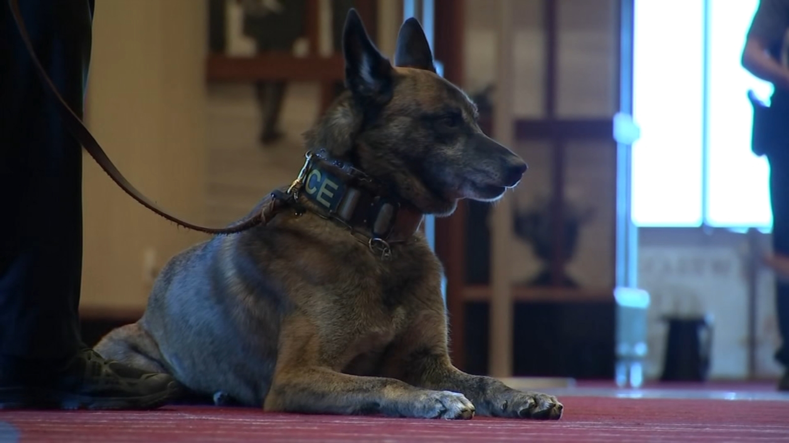 K-9 units compete for top dog in Atlantic CityHarrah's Resort and Casino hosts National Dog Detector Trials in Atlantic City