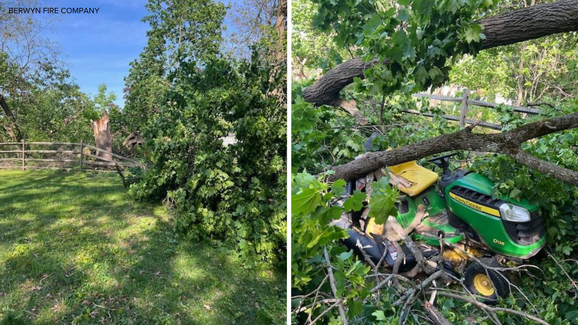 A person was seriously injured after a tree branch fell in Easttown Township, Chester County.