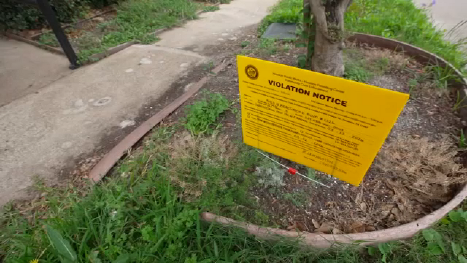 Houston city leaders approve upgraded apartment inspections, cracking ...