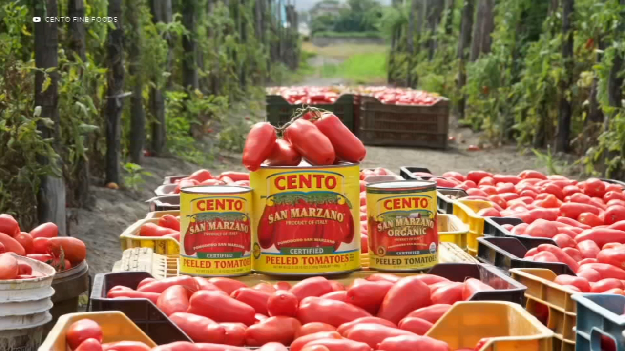 Popular tomato brand accused of tomato fraud in new lawsuit company calls meritless