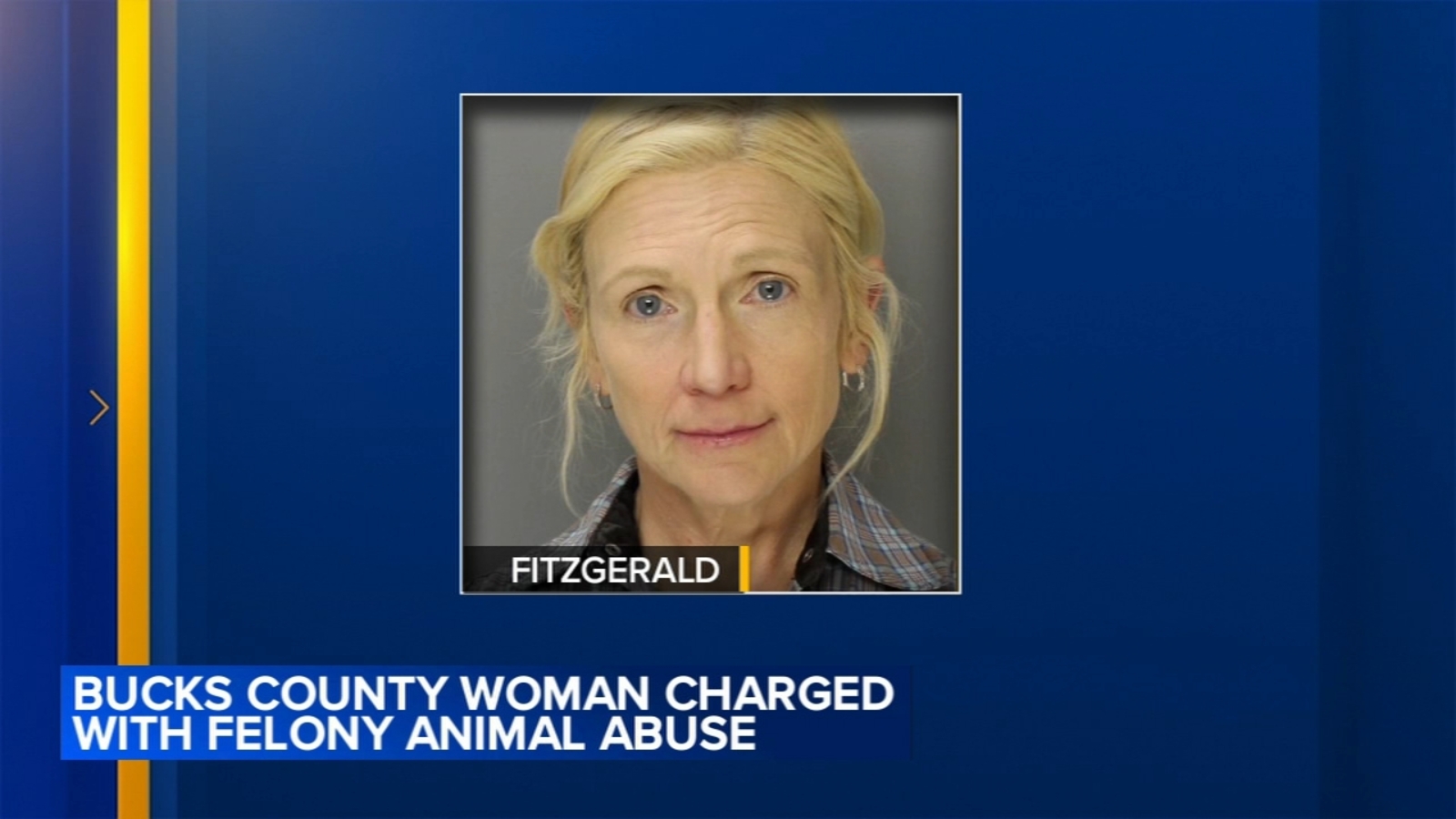 Woman charged after neglected horse had to be euthanized: SPCA