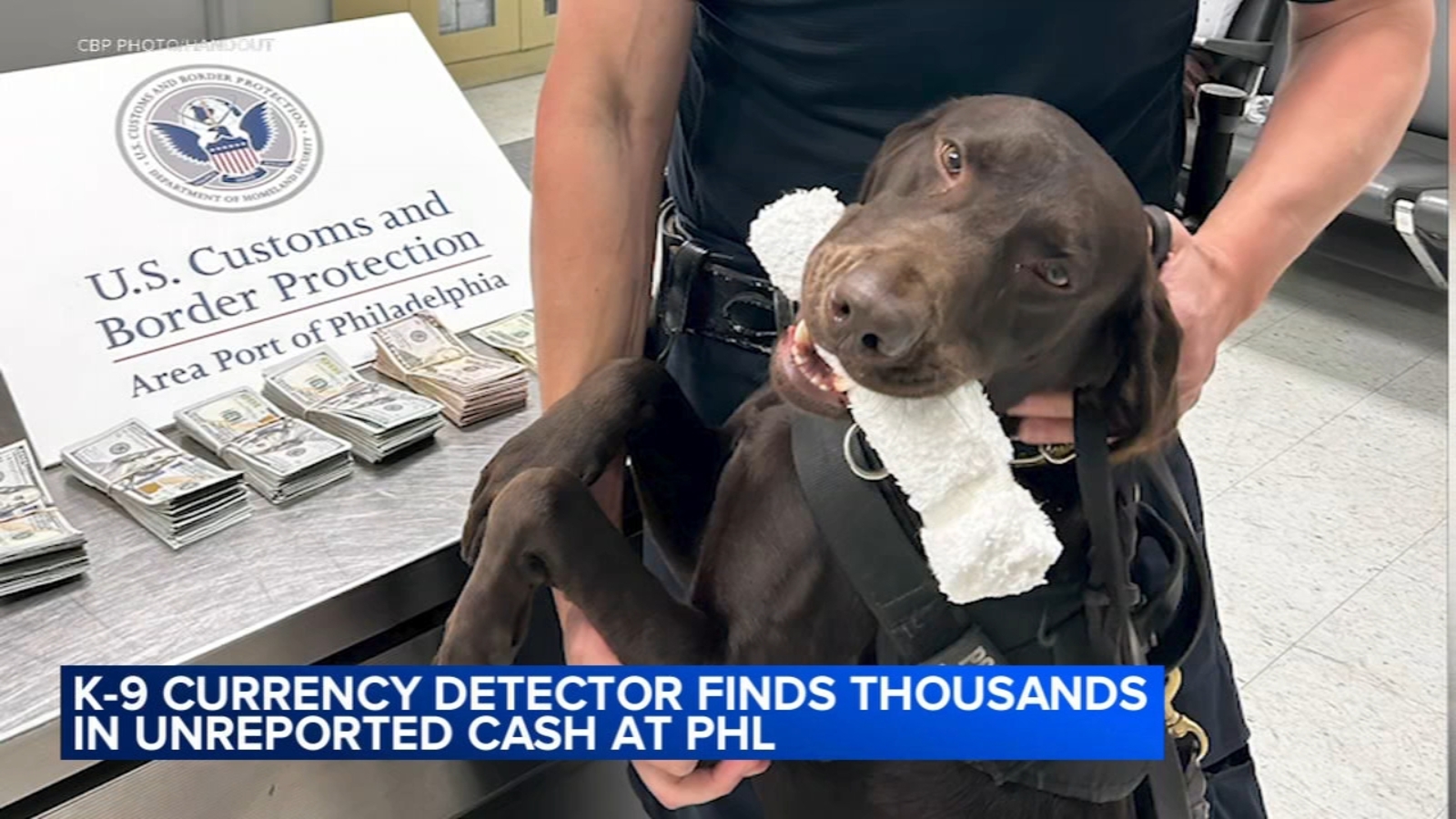 K-9 currency detector finds thousands in unreported cash at PHL