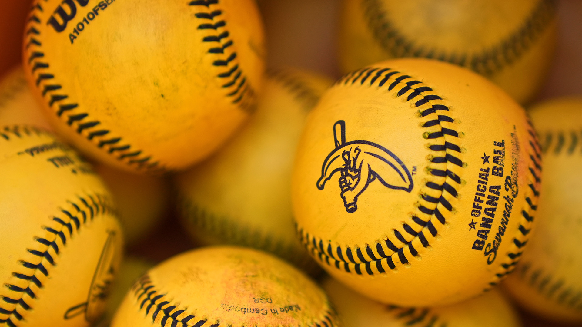 A bucket of official Banana Balls sits in a bucket before a game between the Savannah Bananas and the Firefighters Friday, Sept. 19, 2025, in Seattle.