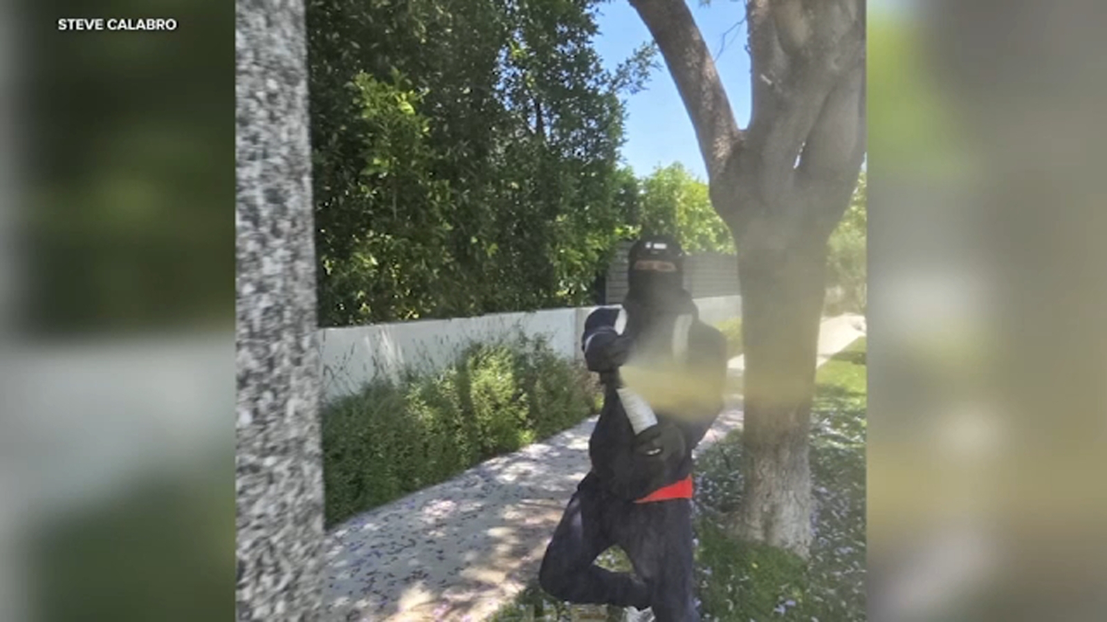 Studio City burglars accused of attacking neighbor with bear spray