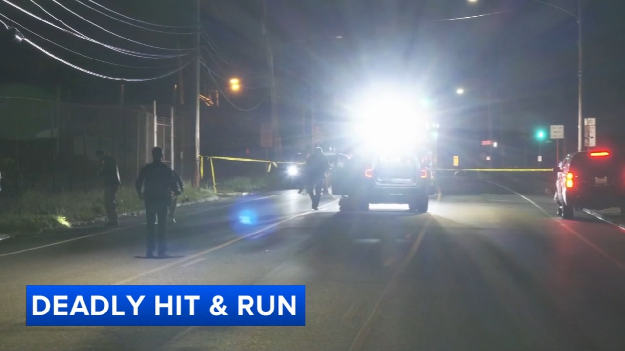 Pedestrian dies after being struck by vehicle in Delaware County