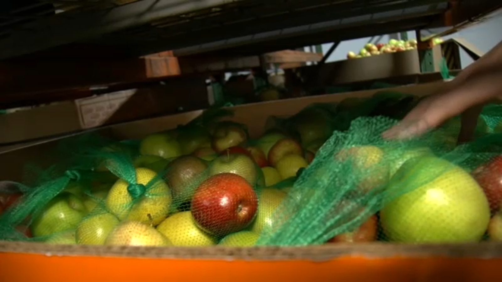 'Perfect storm' leads to rising food insecurity across North Carolina