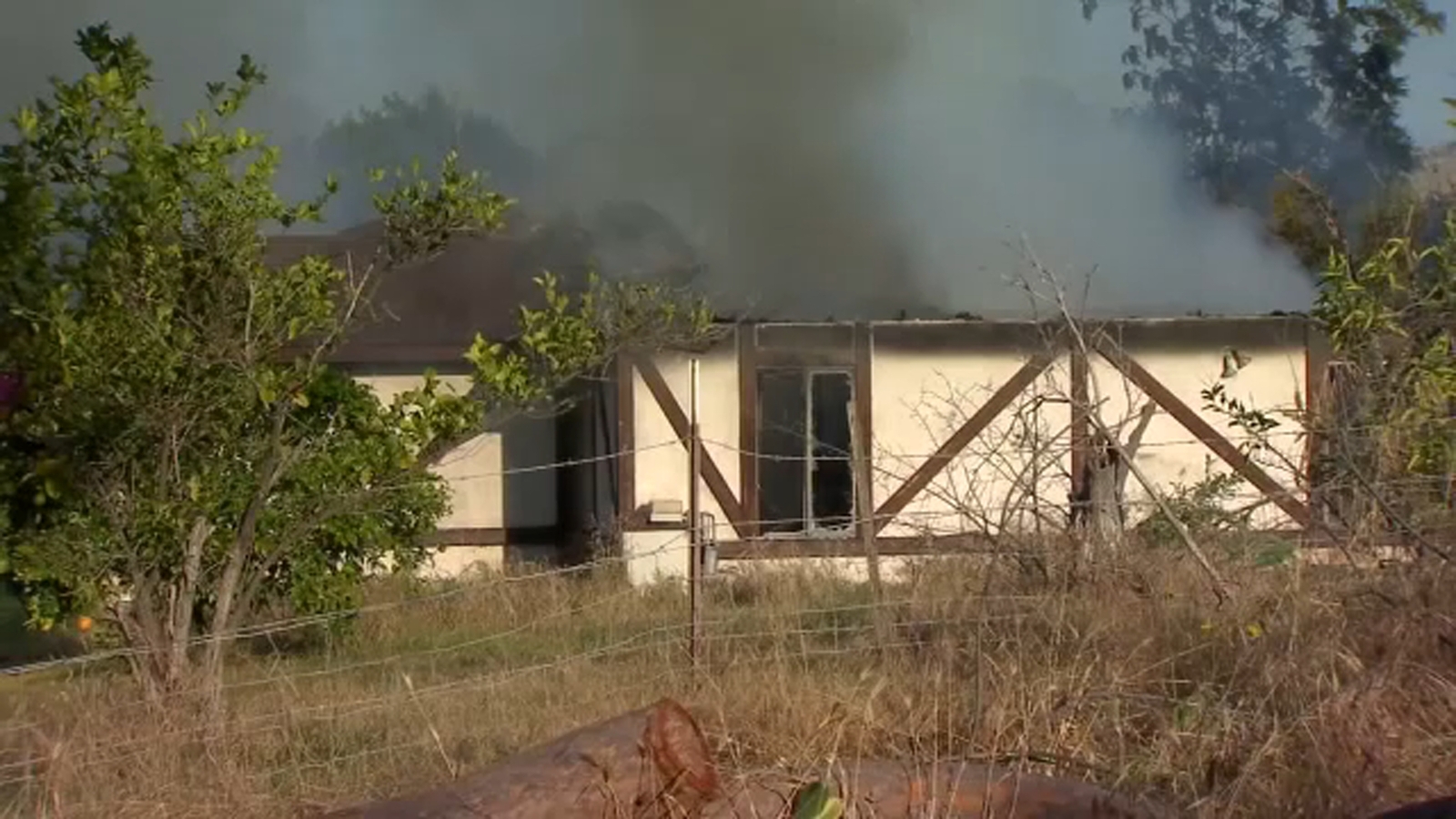 1 person, 1 animal dead following house fire in Springville, officials say