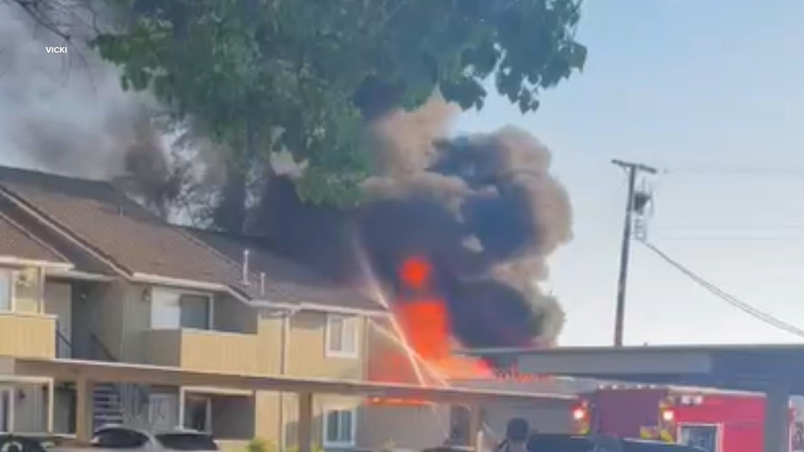 Multiple vehicles at Clawson Motorsports damaged in fire: officials