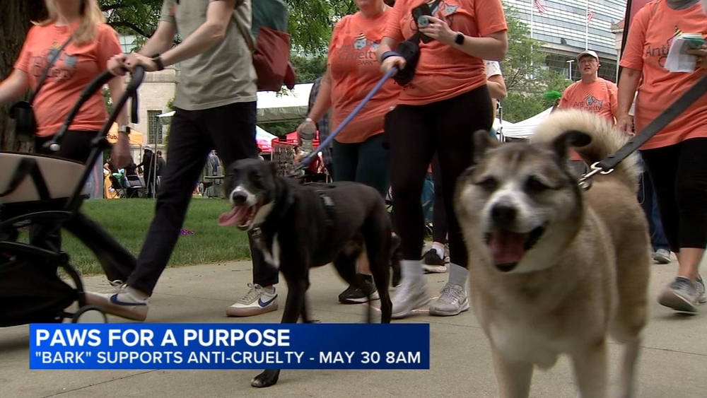Anti-Cruelty's BARK walk for Chicago pets returns May 30, 2026