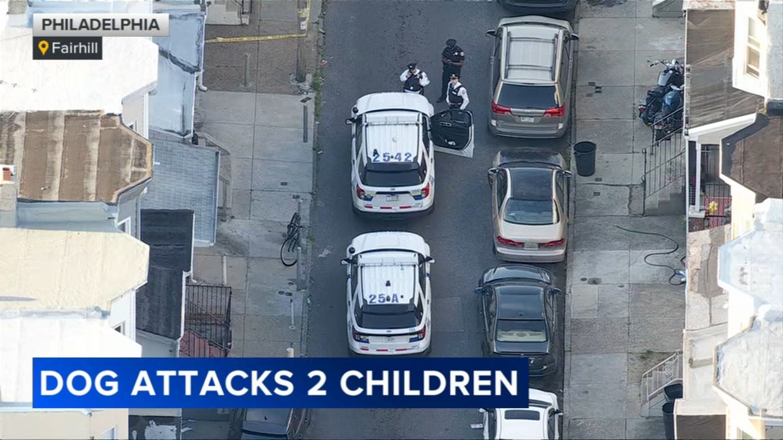 Police: Loose dog gets out of home, attacks 2 siblings