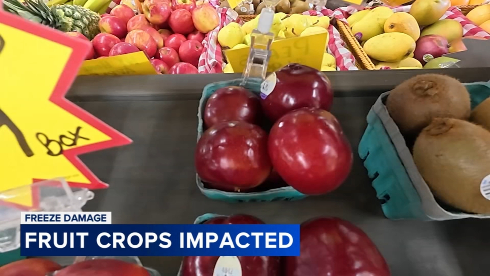 Freeze damage hits farms, driving up prices and reducing selection