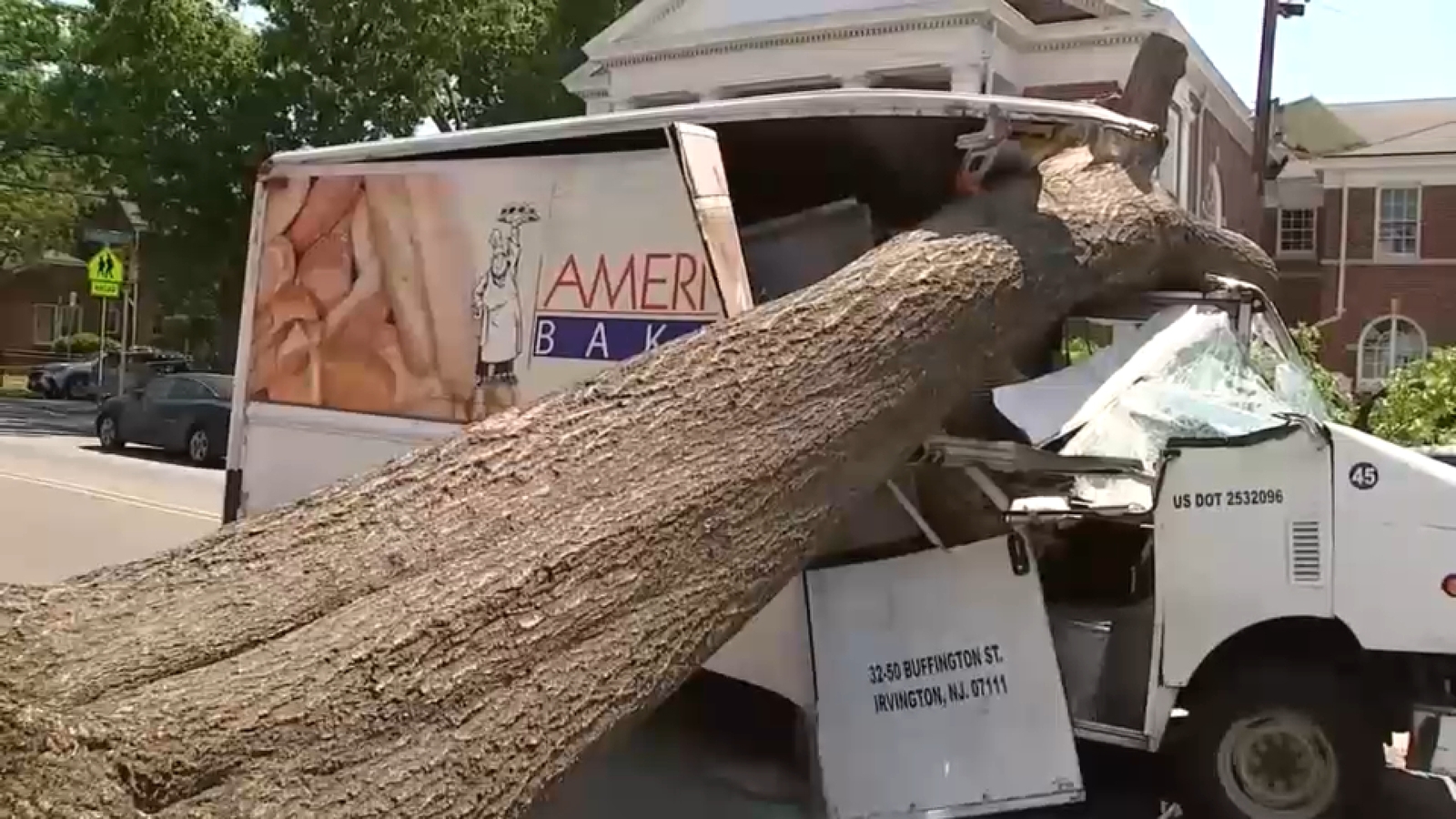 Truck crashes into huge downed tree in Newark, trapping driver inside ...