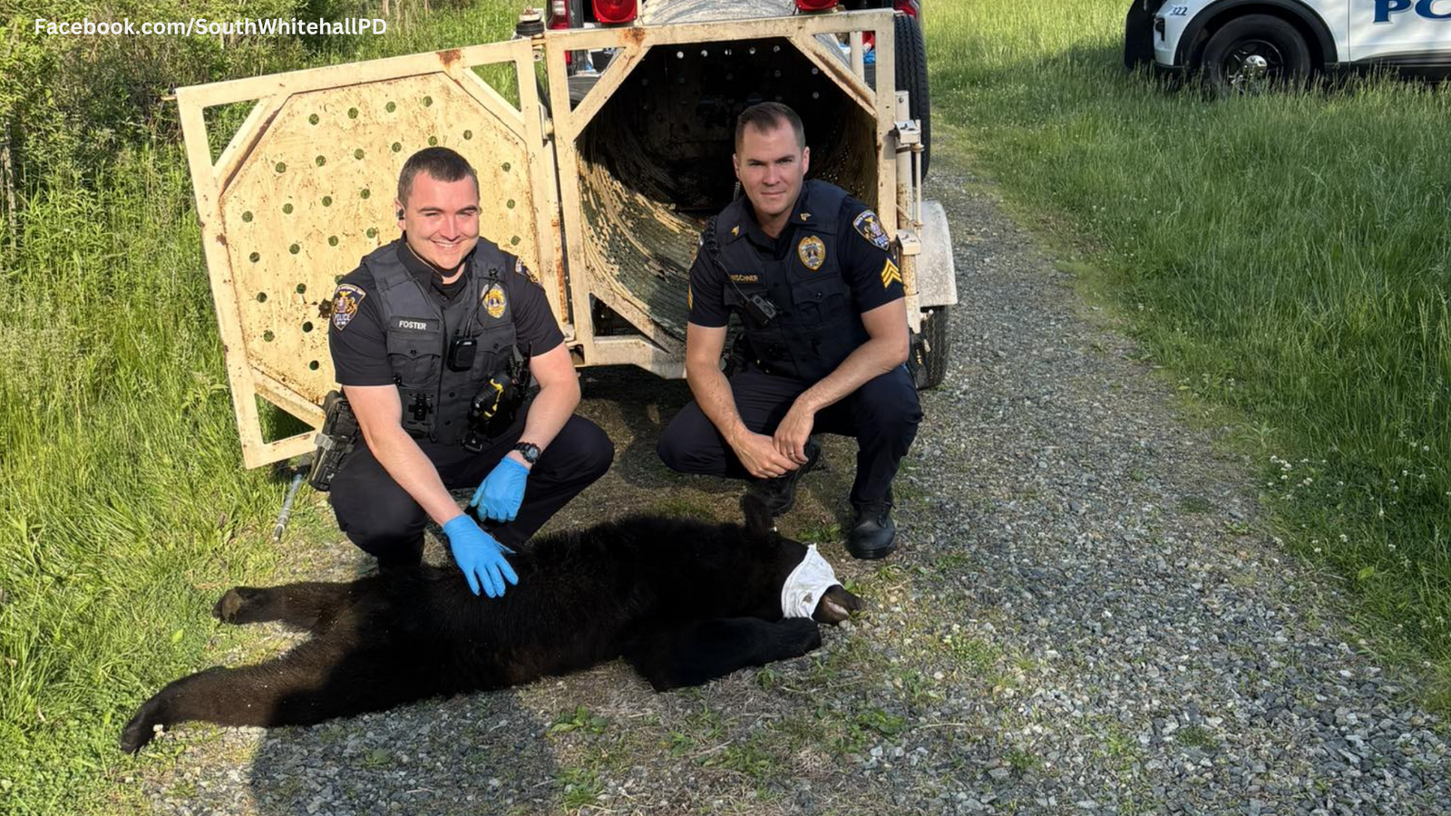 Bear captured near neighborhood's soccer fields