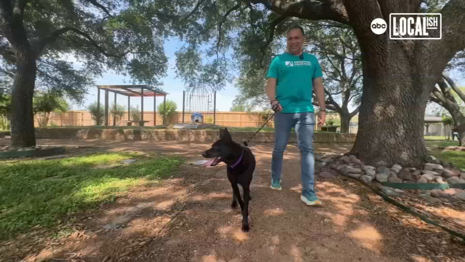 Longtime volunteer takes on every role at Houston Humane Society